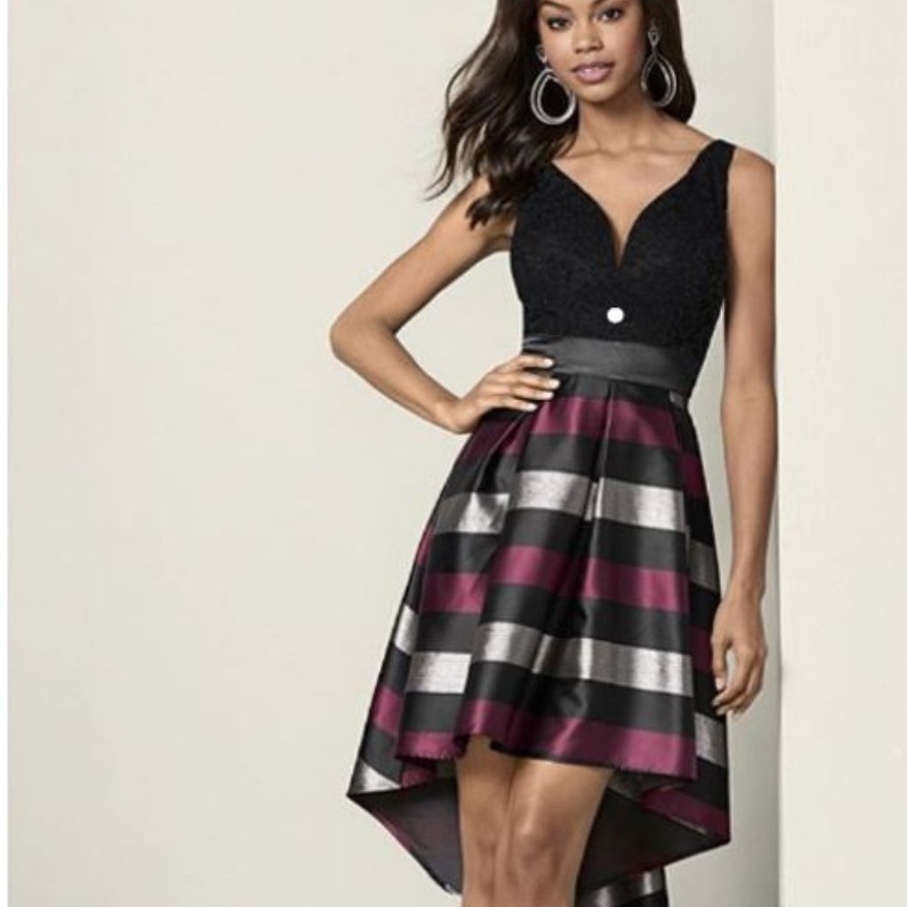 NWT Lace Strip Cocktail dress